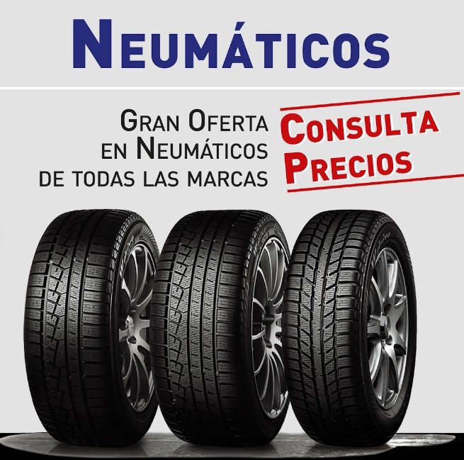 Neumáticos